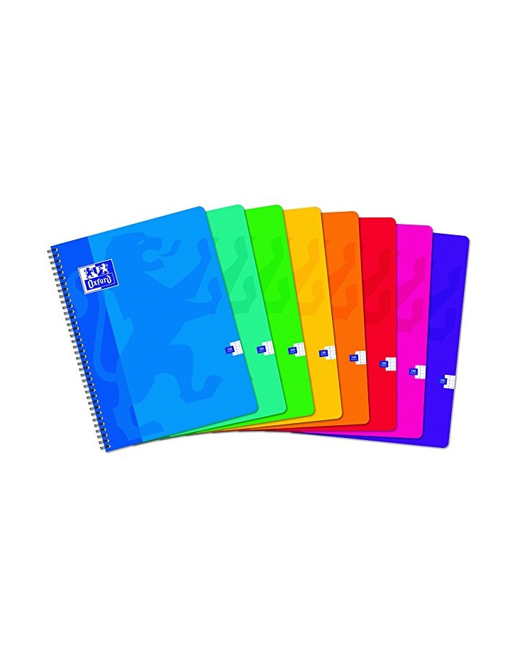 Cahier 100 pages petits carreaux